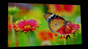 LG OLED evo G2 viewing angle 15 degrees