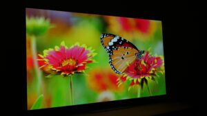 LG OLED evo G2 viewing angle 30 degrees