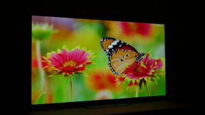 LG OLED B2 viewing angle 30 degrees