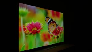 LG OLED B2 viewing angle 60 degrees