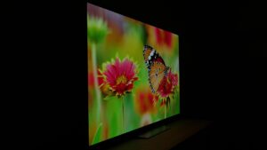 LG OLED B2 viewing angle 75 degrees