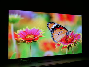 LG OLED evo C3 viewing angle 15 degrees