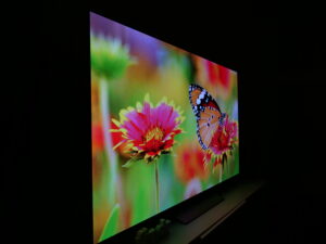 LG OLED evo C3 Viewing Angle 60 degrees