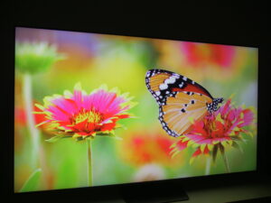 Samsung Neo QLED QN90C Viewing Angle 15 degrees